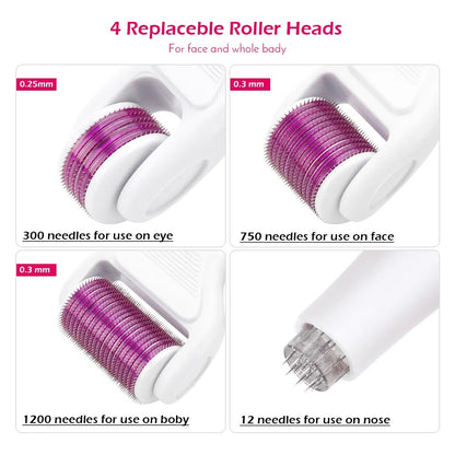 6 In 1 Micro-Needle Derma Roller Kit