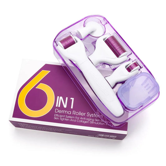 6 In 1 Micro-Needle Derma Roller Kit